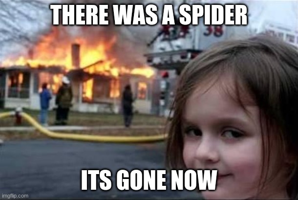wonder what happened | THERE WAS A SPIDER; ITS GONE NOW | image tagged in burning house girl | made w/ Imgflip meme maker