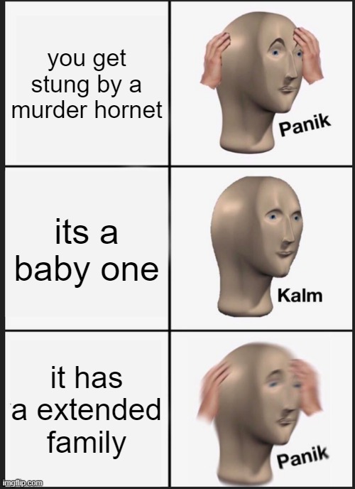Panik Kalm Panik | you get stung by a murder hornet; its a baby one; it has a extended family | image tagged in memes,panik kalm panik | made w/ Imgflip meme maker