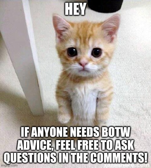 If you have questions, just ask! | HEY; IF ANYONE NEEDS BOTW ADVICE, FEEL FREE TO ASK QUESTIONS IN THE COMMENTS! | image tagged in memes,cute cat | made w/ Imgflip meme maker