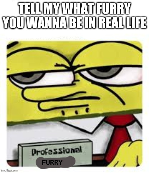 I do not know | TELL MY WHAT FURRY YOU WANNA BE IN REAL LIFE; FURRY | image tagged in professional spongebob,furry | made w/ Imgflip meme maker