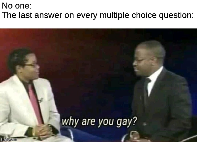 Why are you gay? |  No one:
The last answer on every multiple choice question: | image tagged in why are you gay | made w/ Imgflip meme maker