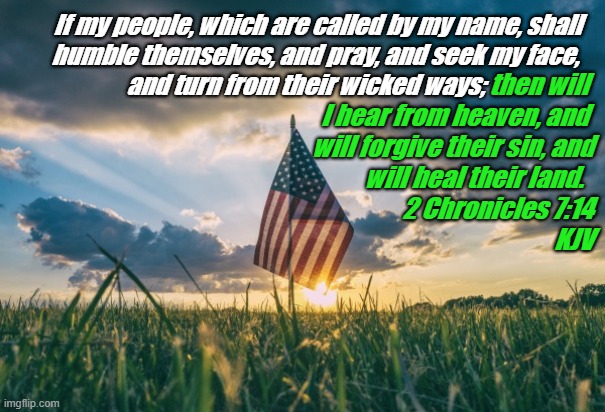 US flag in the field (prairie) | If my people, which are called by my name, shall 
         humble themselves, and pray, and seek my face,    
 and turn from their wicked ways;; then will 
I hear from heaven, and 
will forgive their sin, and
 will heal their land.  
2 Chronicles 7:14
KJV | image tagged in american flag,inspirational quote,religious,people,land,bible verse | made w/ Imgflip meme maker