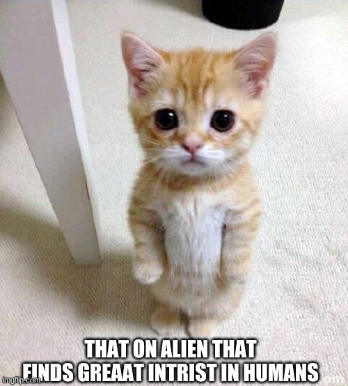 ALien CaT | THAT ON ALIEN THAT FINDS GREAAT INTRIST IN HUMANS | image tagged in memes,cute cat | made w/ Imgflip meme maker