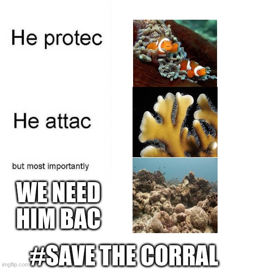 He protec he attac but most importantly | WE NEED HIM BAC; #SAVE THE CORRAL | image tagged in he protec he attac but most importantly | made w/ Imgflip meme maker
