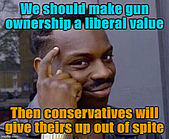 All y'all RWNJ terrorist nutcases: you've convinced me! | image tagged in gun control,roll safe think about it,second amendment,guns,gun rights,conservative logic | made w/ Imgflip meme maker