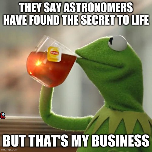But That's None Of My Business |  THEY SAY ASTRONOMERS HAVE FOUND THE SECRET TO LIFE; BUT THAT'S MY BUSINESS | image tagged in memes,but that's none of my business,kermit the frog | made w/ Imgflip meme maker