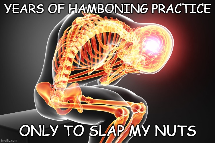 hambone | YEARS OF HAMBONING PRACTICE; ONLY TO SLAP MY NUTS | image tagged in funny meme | made w/ Imgflip meme maker