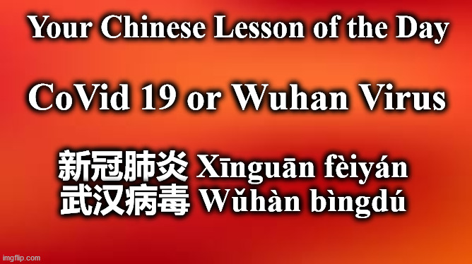 bkgrnd | Your Chinese Lesson of the Day; CoVid 19 or Wuhan Virus; 新冠肺炎 Xīnguān fèiyán
武汉病毒 Wǔhàn bìngdú | image tagged in bkgrnd | made w/ Imgflip meme maker