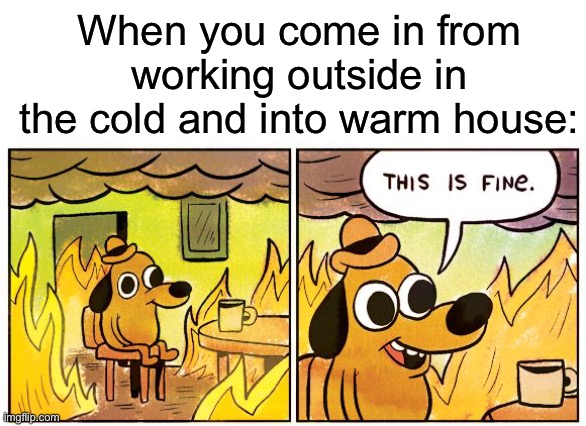When you come in from working outside in the cold and into warm house: | image tagged in blank white template,memes,this is fine,winter,cold,cold weather | made w/ Imgflip meme maker