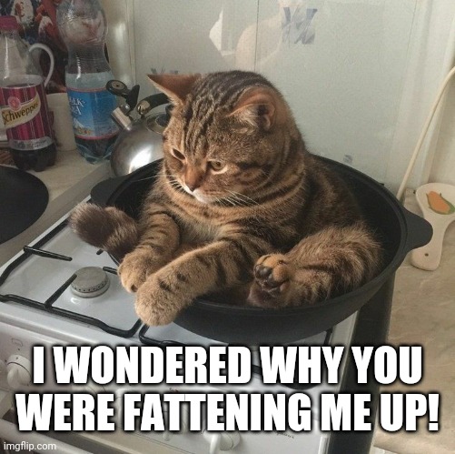 I WONDERED WHY YOU WERE FATTENING ME UP! | image tagged in sitting not so pretty | made w/ Imgflip meme maker