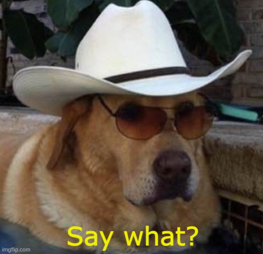 Say What? (Dog) | Say what? | image tagged in say what,dog,meme template | made w/ Imgflip meme maker