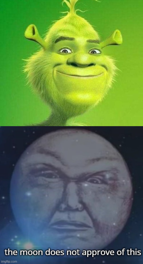 using p00py's new template lmao | image tagged in memes,funny,cursed image,shrek,wtf | made w/ Imgflip meme maker