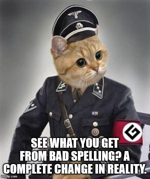 Grammar Nazi Cat | SEE WHAT YOU GET FROM BAD SPELLING? A COMPLETE CHANGE IN REALITY. | image tagged in grammar nazi cat | made w/ Imgflip meme maker