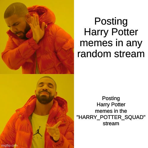Drake Hotline Bling | Posting Harry Potter memes in any random stream; Posting Harry Potter memes in the "HARRY_POTTER_SQUAD" stream | image tagged in memes,drake hotline bling | made w/ Imgflip meme maker