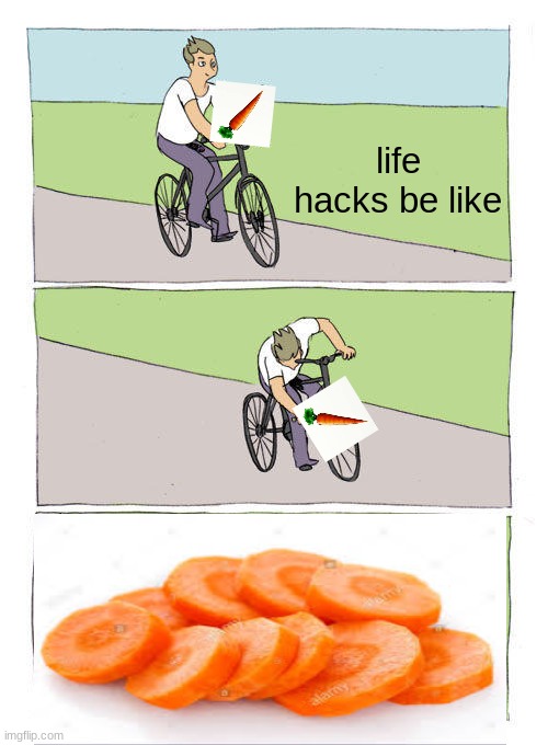 carrot | life hacks be like | image tagged in memes,bike fall | made w/ Imgflip meme maker