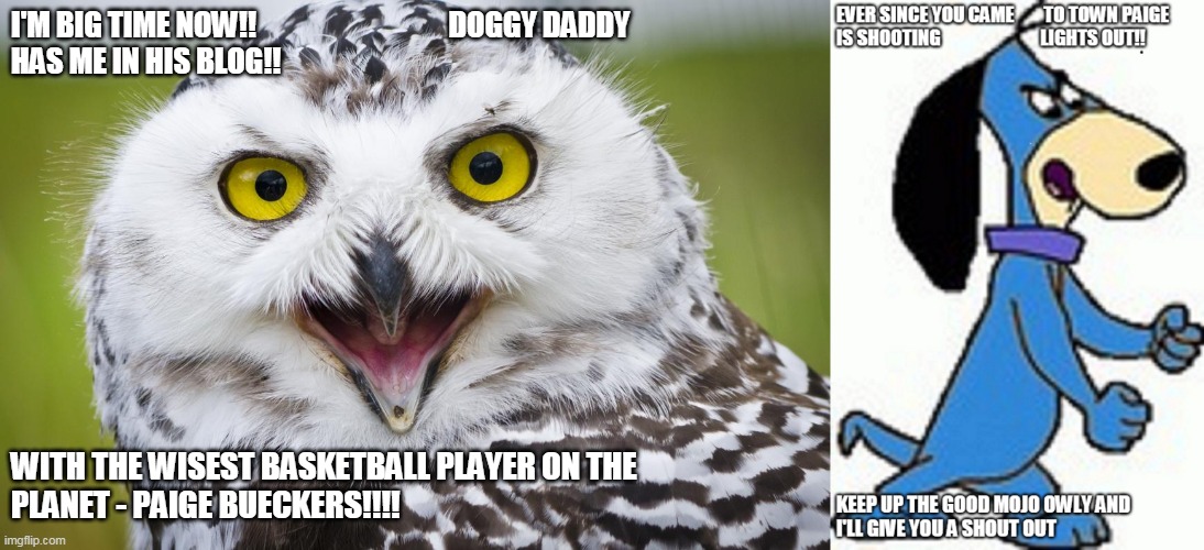 I'M BIG TIME NOW!!                                 DOGGY DADDY
HAS ME IN HIS BLOG!! WITH THE WISEST BASKETBALL PLAYER ON THE
PLANET - PAIGE BUECKERS!!!! | made w/ Imgflip meme maker