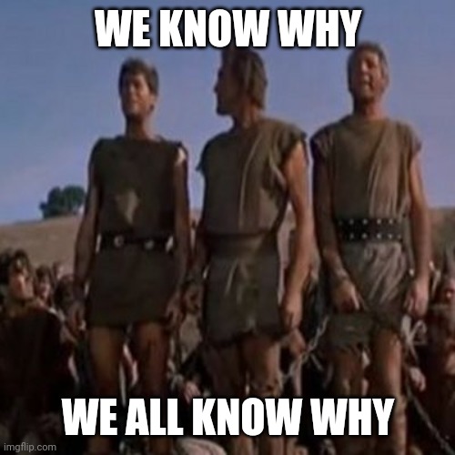 I'm Spartacus | WE KNOW WHY WE ALL KNOW WHY | image tagged in i'm spartacus | made w/ Imgflip meme maker