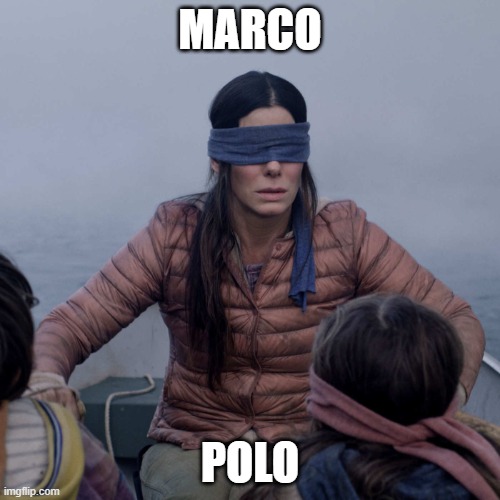 Bird Box | MARCO; POLO | image tagged in memes,bird box | made w/ Imgflip meme maker