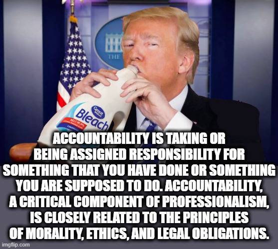 ACCOUNTABILITY | ACCOUNTABILITY IS TAKING OR BEING ASSIGNED RESPONSIBILITY FOR SOMETHING THAT YOU HAVE DONE OR SOMETHING YOU ARE SUPPOSED TO DO. ACCOUNTABILITY, A CRITICAL COMPONENT OF PROFESSIONALISM, IS CLOSELY RELATED TO THE PRINCIPLES OF MORALITY, ETHICS, AND LEGAL OBLIGATIONS. | image tagged in accountability,responsibility,ethics,obligation,morality,professioanlism | made w/ Imgflip meme maker