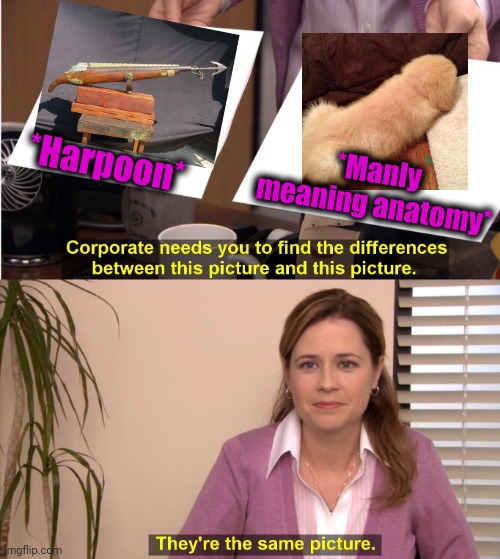 -Where mine whale's flesh? | *Harpoon*; *Manly meaning anatomy* | image tagged in memes,they're the same picture,killer whale,fishing for upvotes,dad joke dog,totally looks like | made w/ Imgflip meme maker