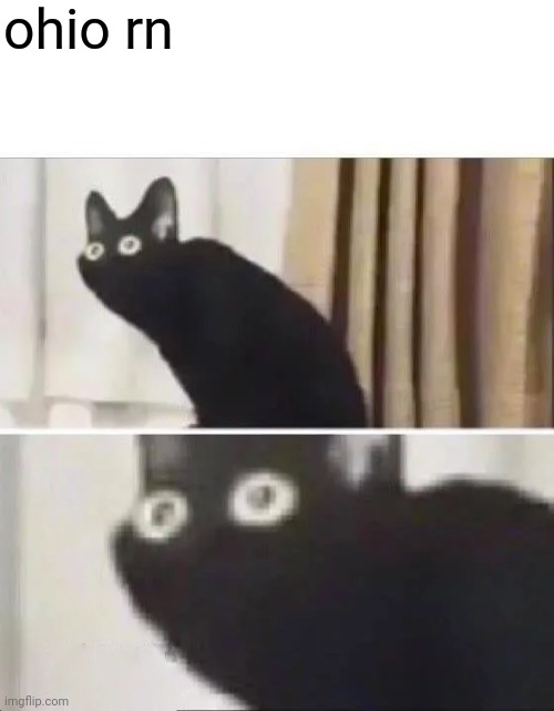 Oh No Black Cat | ohio rn | image tagged in oh no black cat | made w/ Imgflip meme maker