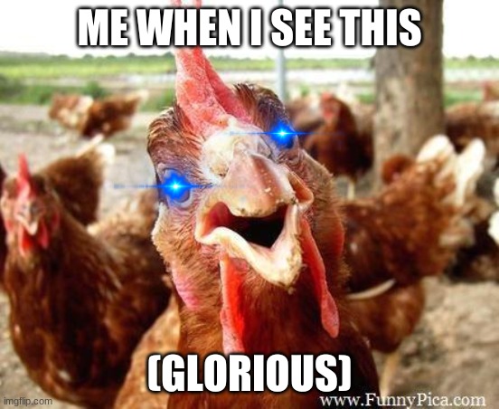 Chicken | ME WHEN I SEE THIS (GLORIOUS) | image tagged in chicken | made w/ Imgflip meme maker
