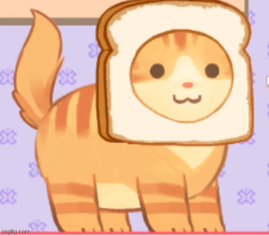 Have a w h o l e s o m e cat | made w/ Imgflip meme maker