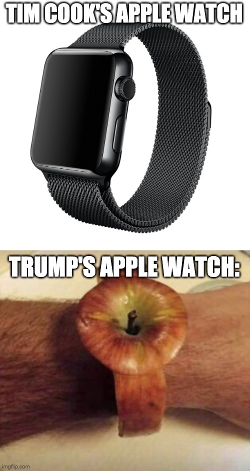 Rump | TIM COOK'S APPLE WATCH; TRUMP'S APPLE WATCH: | image tagged in apple watch,the new trump addition apple watch | made w/ Imgflip meme maker