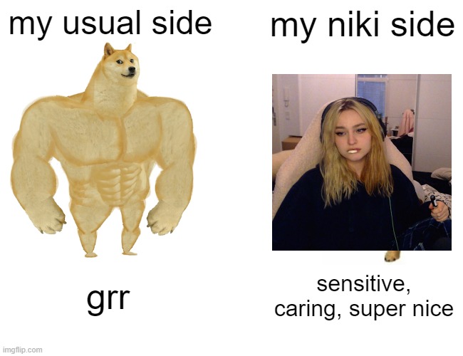 believe it or not i do have a niki side | my usual side; my niki side; grr; sensitive, caring, super nice | image tagged in memes,buff doge vs cheems | made w/ Imgflip meme maker