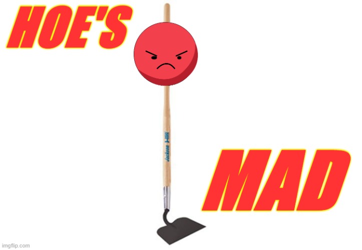 Hoe's Mad | image tagged in hoe's mad | made w/ Imgflip meme maker