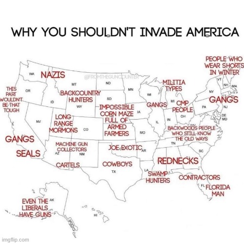 *sees Florida Man* no no he's got a point | image tagged in why you shouldn't invade america,america,map,repost,florida man,rednecks | made w/ Imgflip meme maker