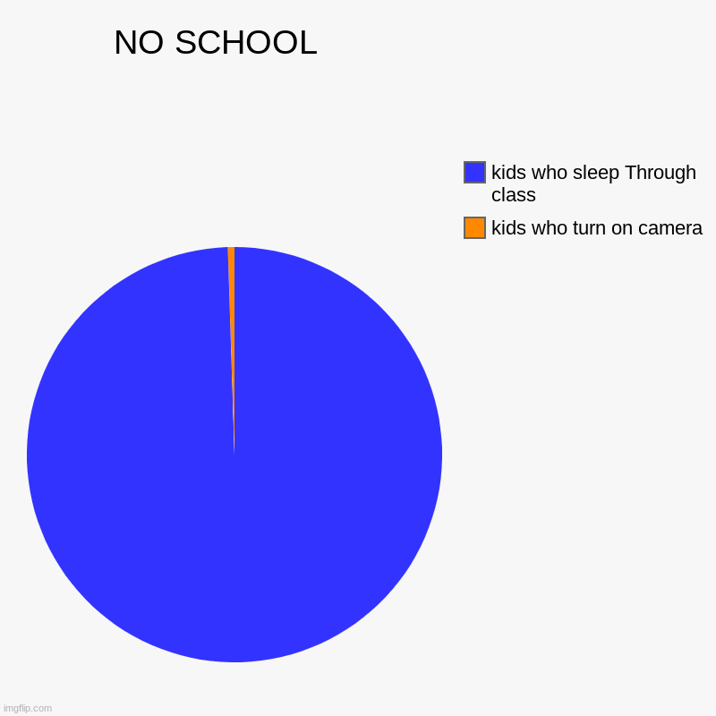 i mean ? | NO SCHOOL                             | kids who turn on camera , kids who sleep Through class | image tagged in charts,pie charts | made w/ Imgflip chart maker