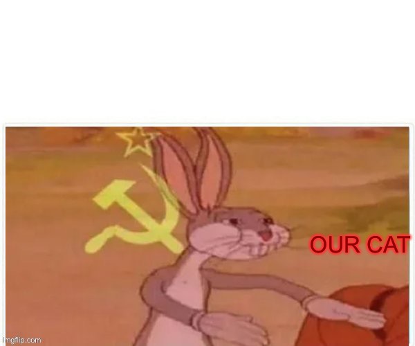 communist bugs bunny | OUR CAT | image tagged in communist bugs bunny | made w/ Imgflip meme maker