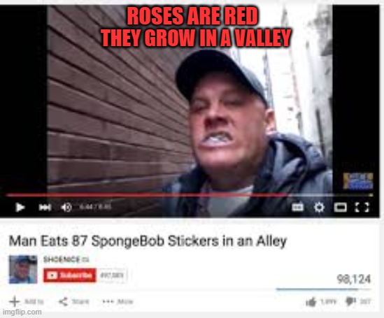 roses are red... | ROSES ARE RED; THEY GROW IN A VALLEY | image tagged in memes,funny,spongebob,roses are red | made w/ Imgflip meme maker