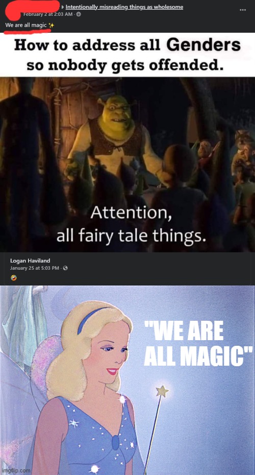 "we are all magic" | "WE ARE ALL MAGIC" | image tagged in blue fairy,wholesome,lgbt,lgbtq,gender identity,gender equality | made w/ Imgflip meme maker