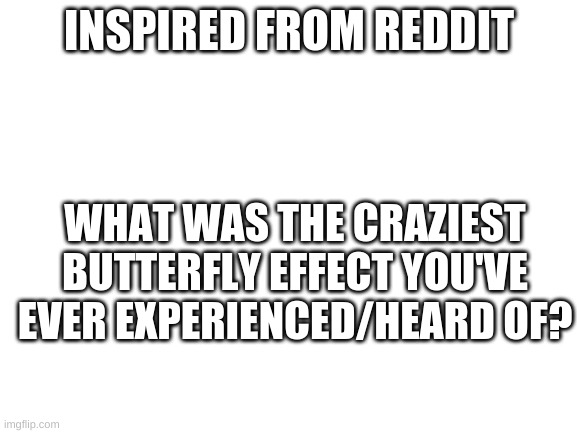 Blank White Template | INSPIRED FROM REDDIT; WHAT WAS THE CRAZIEST BUTTERFLY EFFECT YOU'VE EVER EXPERIENCED/HEARD OF? | image tagged in blank white template | made w/ Imgflip meme maker
