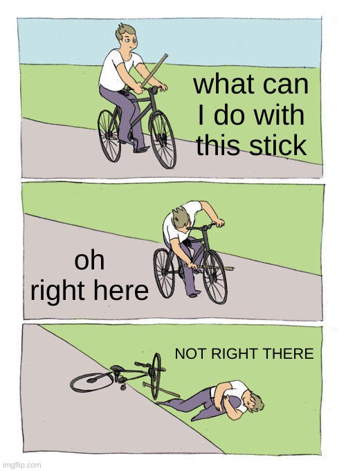 Bike Fall | what can I do with this stick; oh right here; NOT RIGHT THERE | image tagged in memes,bike fall | made w/ Imgflip meme maker