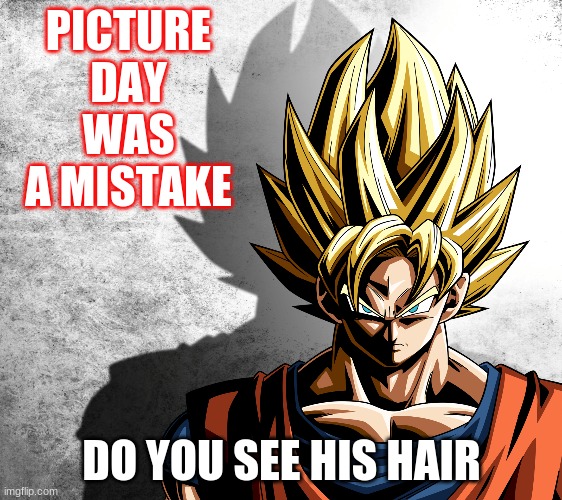 Bad Hair | PICTURE DAY WAS A MISTAKE; DO YOU SEE HIS HAIR | image tagged in meme | made w/ Imgflip meme maker