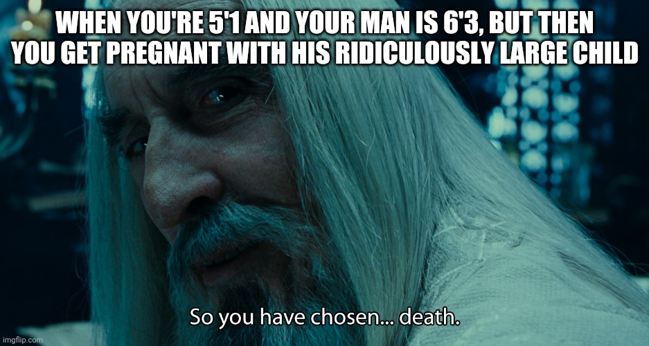 LOTR | WHEN YOU'RE 5'1 AND YOUR MAN IS 6'3, BUT THEN YOU GET PREGNANT WITH HIS RIDICULOUSLY LARGE CHILD | image tagged in lotr | made w/ Imgflip meme maker