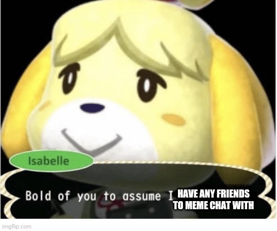 Bold of You to Assume | HAVE ANY FRIENDS TO MEME CHAT WITH | image tagged in bold of you to assume | made w/ Imgflip meme maker