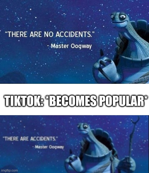 TIKTOK: *BECOMES POPULAR* | image tagged in there are no accidents,tiktok | made w/ Imgflip meme maker