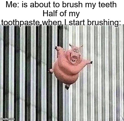 Falling Pig | Me: is about to brush my teeth
Half of my toothpaste when I start brushing: | image tagged in falling pig,memes,relatable | made w/ Imgflip meme maker