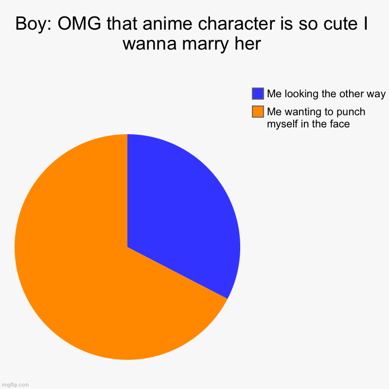 Boy: OMG that anime character is so cute I wanna marry her | Me wanting to punch myself in the face, Me looking the other way | image tagged in charts,pie charts | made w/ Imgflip chart maker