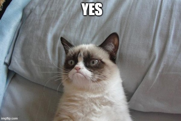 Grumpy Cat Bed Meme | YES | image tagged in memes,grumpy cat bed,grumpy cat | made w/ Imgflip meme maker