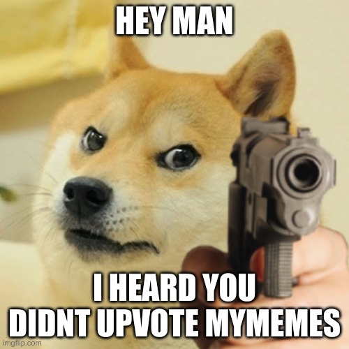 Doge holding a gun | HEY MAN; I HEARD YOU DIDNT UPVOTE MYMEMES | image tagged in doge holding a gun | made w/ Imgflip meme maker