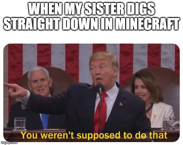You weren't supposed to do that | WHEN MY SISTER DIGS STRAIGHT DOWN IN MINECRAFT | image tagged in you weren't supposed to do that | made w/ Imgflip meme maker