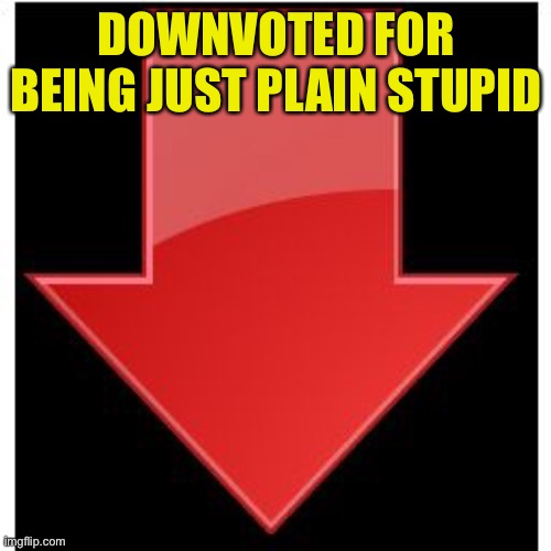 downvotes | DOWNVOTED FOR BEING JUST PLAIN STUPID | image tagged in downvotes | made w/ Imgflip meme maker