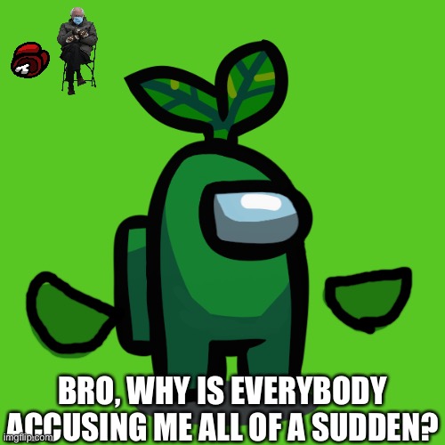 Plant_Official | BRO, WHY IS EVERYBODY ACCUSING ME ALL OF A SUDDEN? | image tagged in plant_official | made w/ Imgflip meme maker