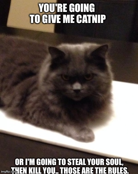 YOU'RE GOING TO GIVE ME CATNIP OR I'M GOING TO STEAL YOUR SOUL, THEN KILL YOU.. THOSE ARE THE RULES. | made w/ Imgflip meme maker