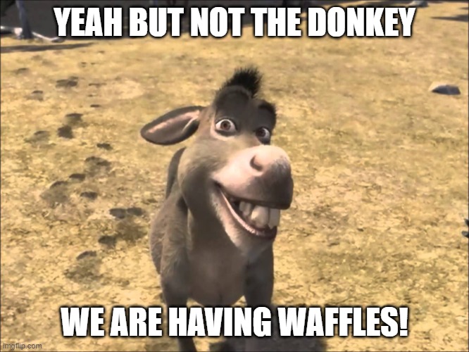 Donkey Shrek | YEAH BUT NOT THE DONKEY WE ARE HAVING WAFFLES! | image tagged in donkey shrek | made w/ Imgflip meme maker